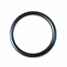 1210.0039.00 O-RING by COMET PUMPS (2666)