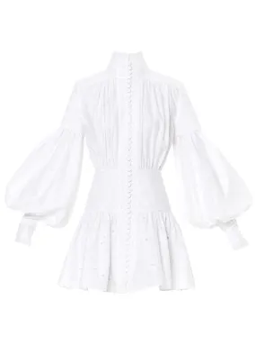 Astible Button-Down Long-Sleeve Mini Dress